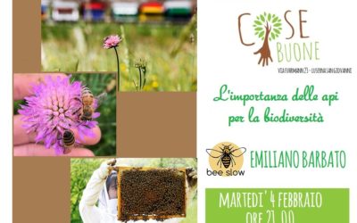 L’importanza delle api per la biodiversità