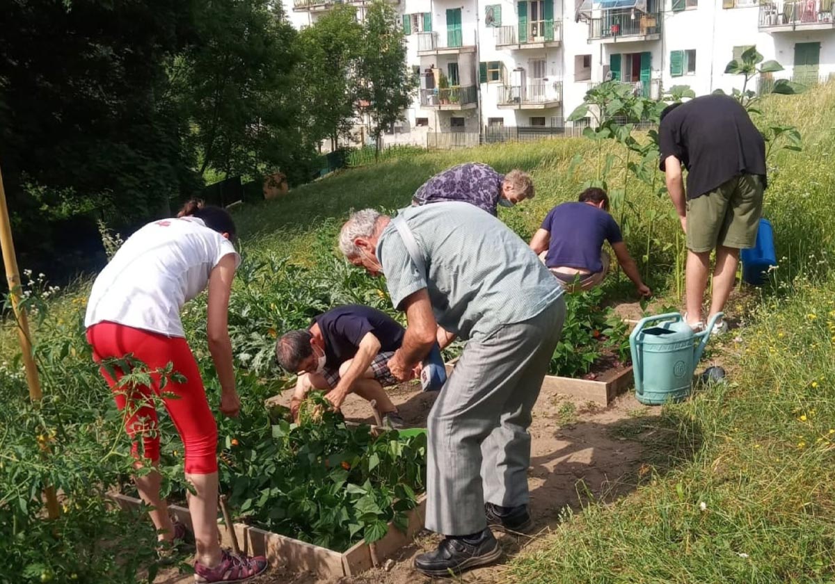 servizi-salute-ambiti-di-intervento-agricoltura-sociale